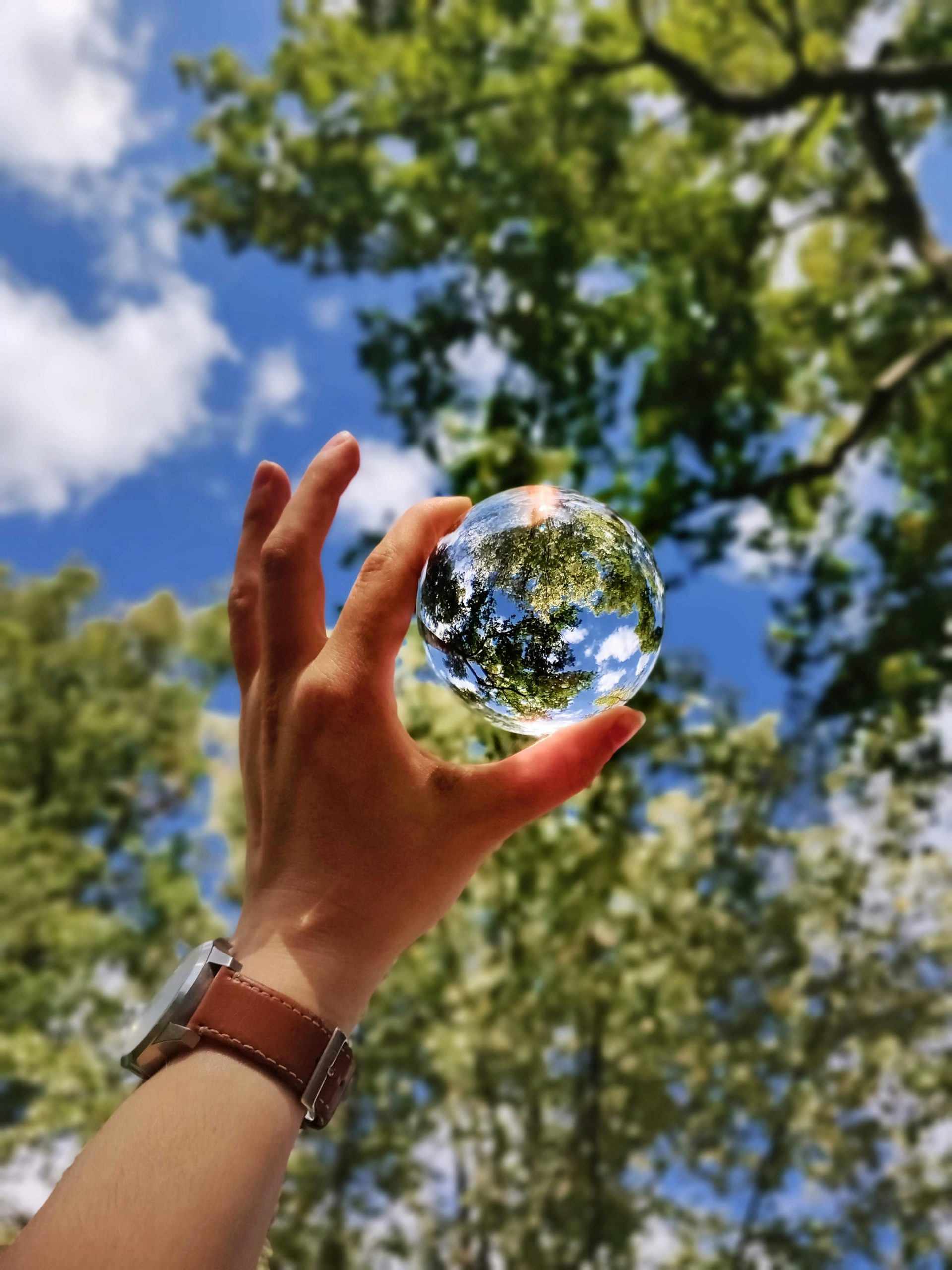 Hand holding a glass globe reflecting trees under a blue sky, symbolizing a sustainable and interconnected world.